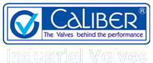 Caliber Valves Pvt Ltd.